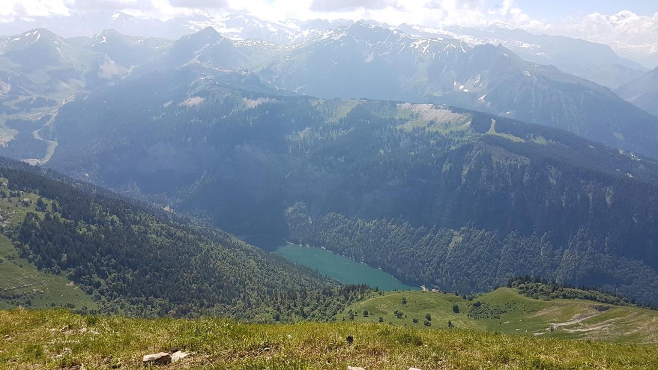 Appartement Proche Morzine Centre Et Remontees Mecaniques - Oree De Morzine 24A Montriond Kültér fotó